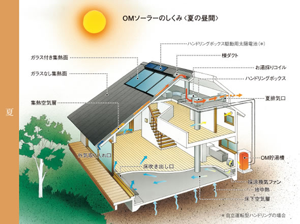 夏